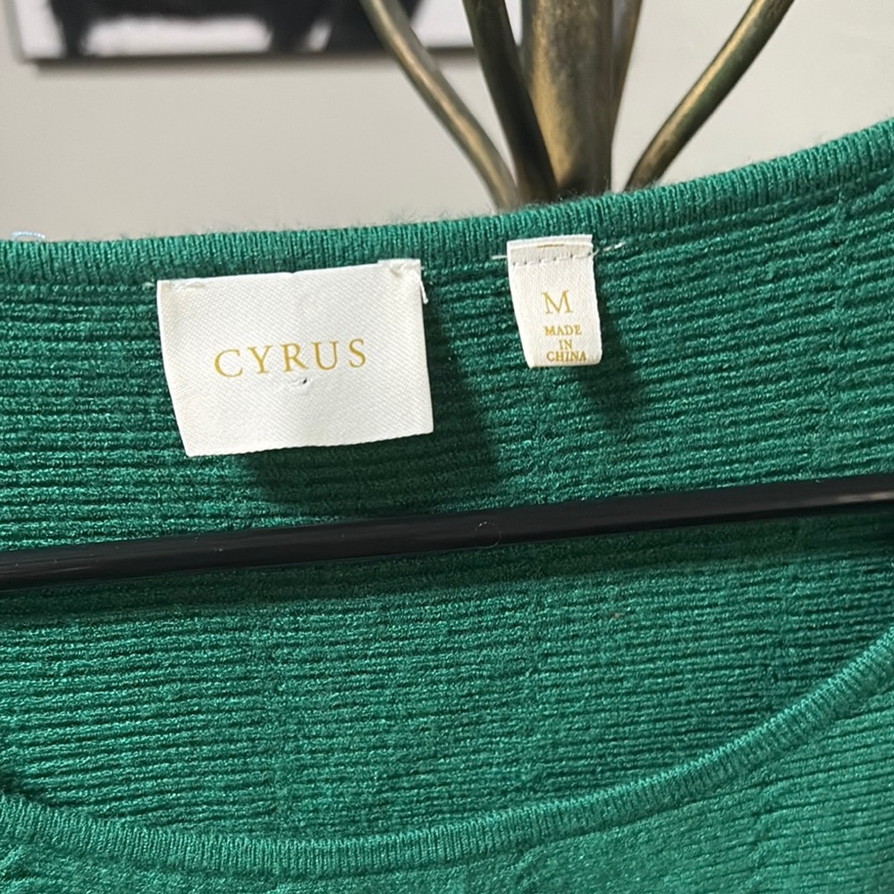 NWT Green Sweater - Picture 3 of 7
